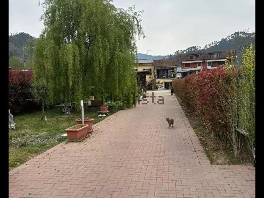 Immagine 15 di Casa indipendente in vendita  a Brugnato