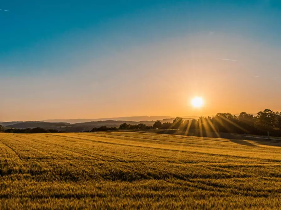 Immagine 1 di Azienda agricola in vendita  a Bomarzo