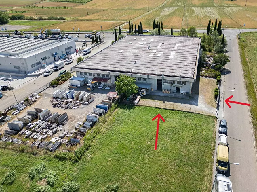 Immagine 2 di Attività artigianale in vendita  a Terricciola