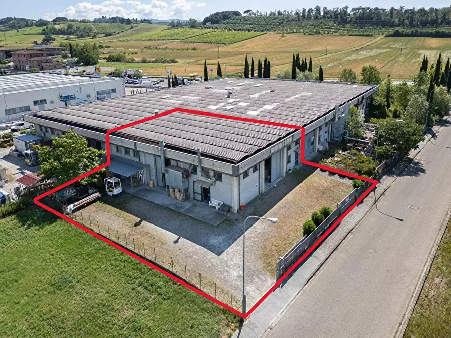 Immagine 1 di Attività artigianale in vendita  a Terricciola