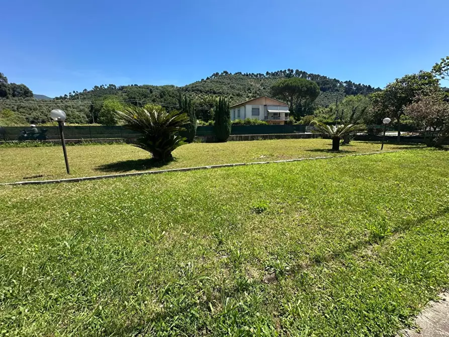 Immagine 24 di Appartamento in vendita  a Camaiore