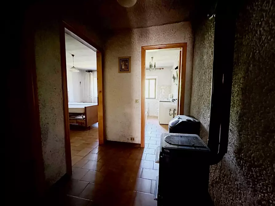 Immagine 6 di Terratetto in vendita  a Villa Basilica