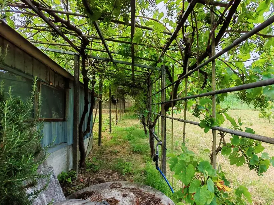 Immagine 19 di Appartamento in vendita  a Casciana Terme Lari