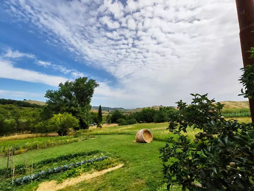Immagine 21 di Appartamento in vendita  a Casciana Terme Lari