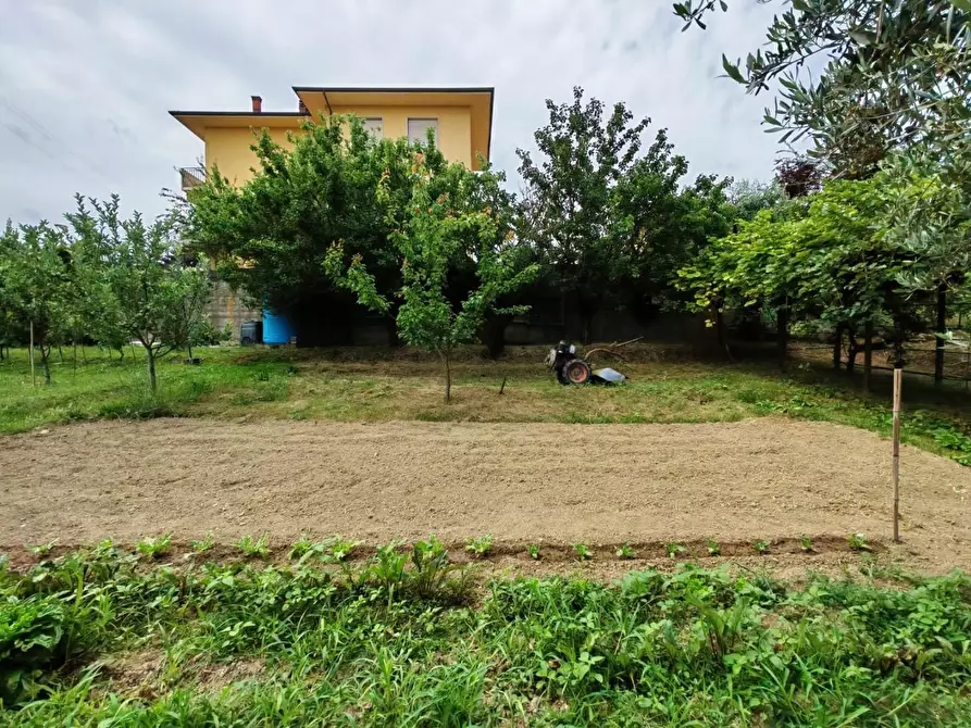 Immagine 18 di Appartamento in vendita  a Casciana Terme Lari