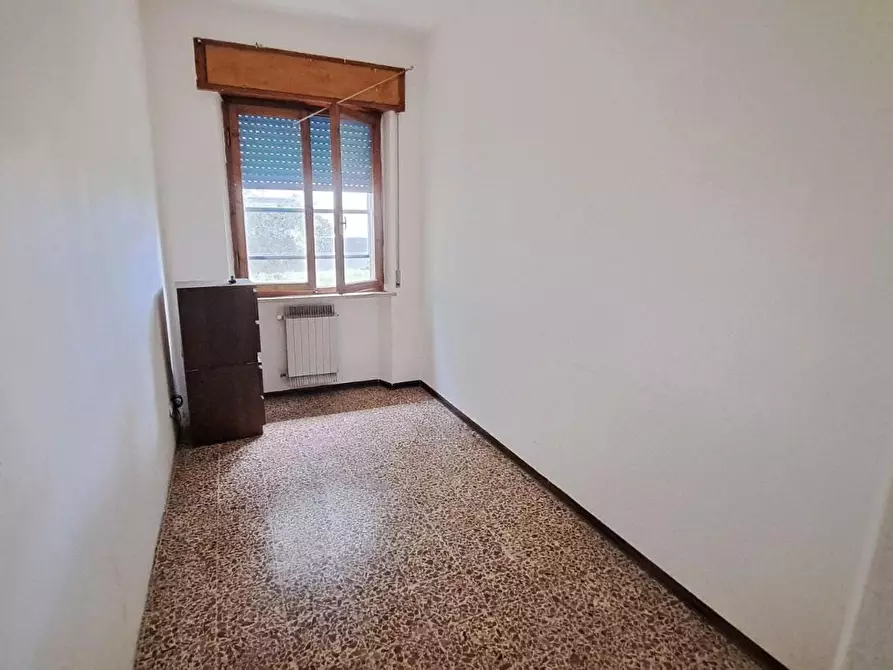 Immagine 16 di Appartamento in vendita  a Rosignano Marittimo
