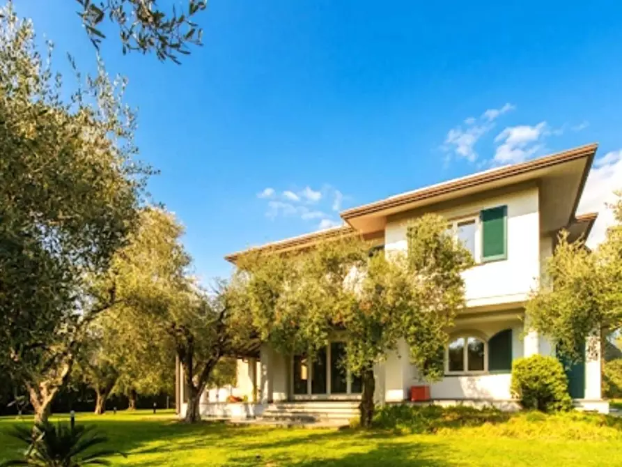 Immagine 35 di Villa in vendita  a Massa