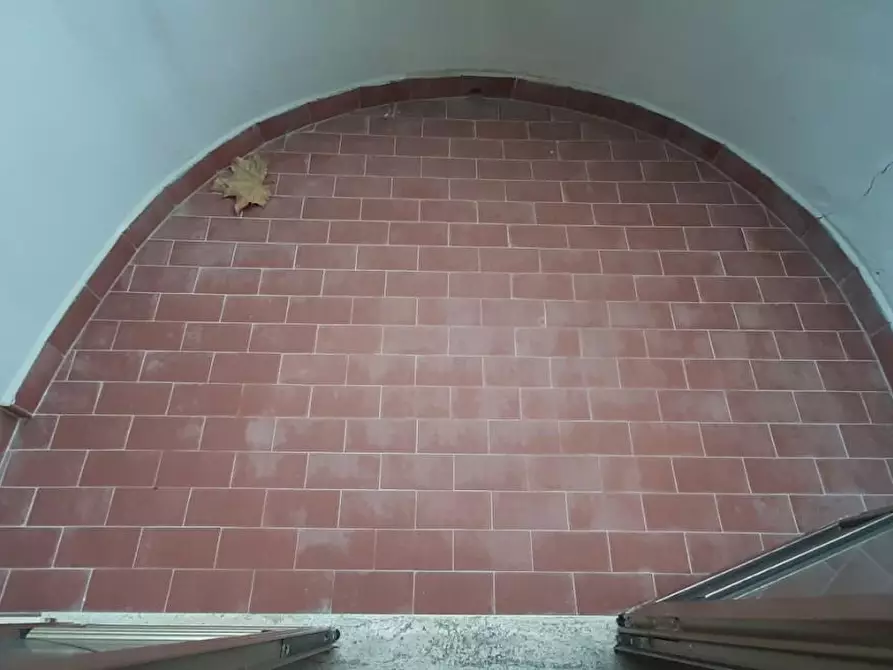 Immagine 16 di Appartamento in vendita  a Rosignano Marittimo