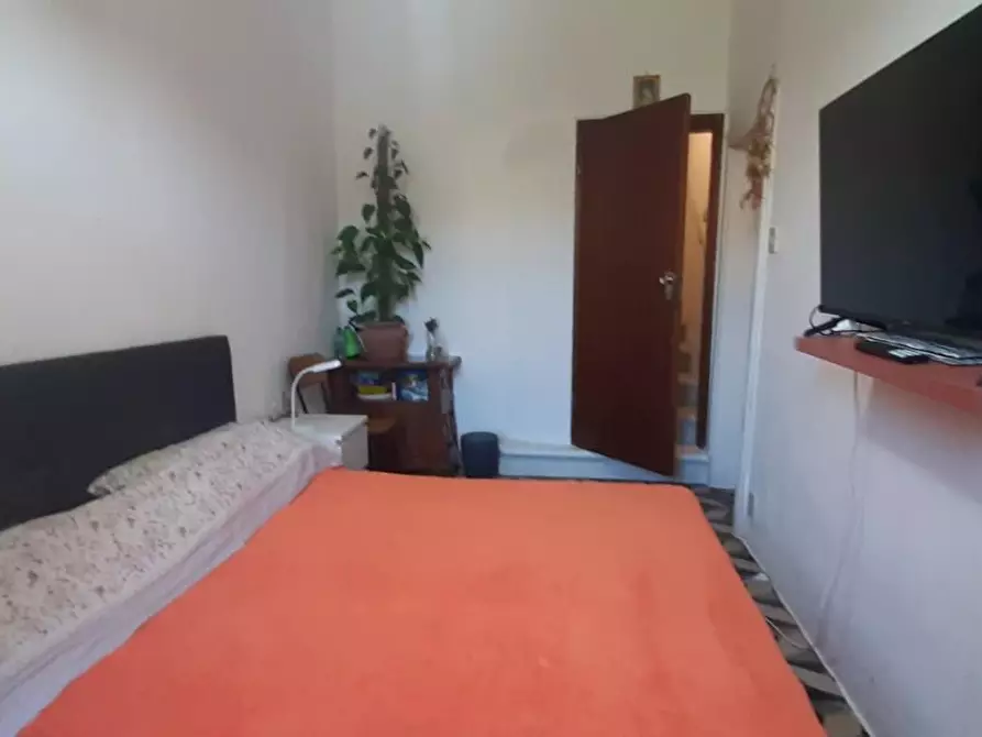 Immagine 15 di Appartamento in vendita  a Rosignano Marittimo