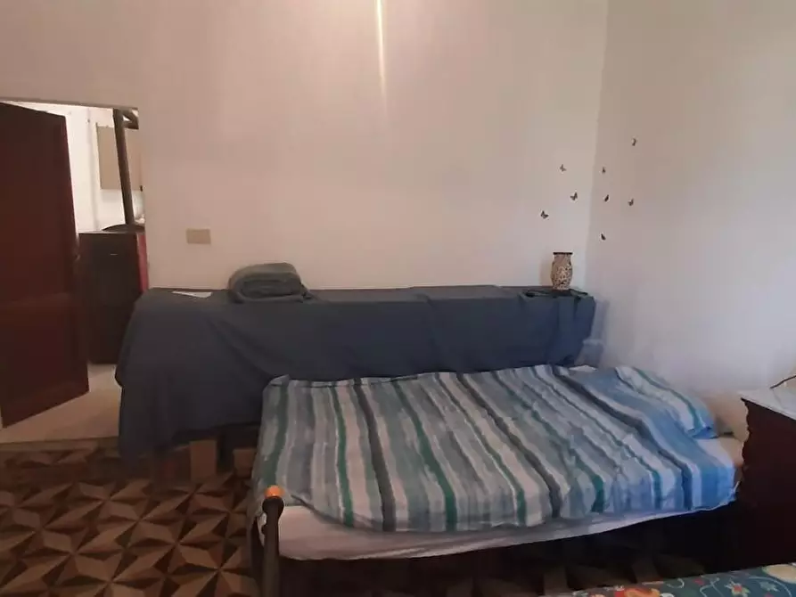 Immagine 9 di Appartamento in vendita  a Rosignano Marittimo