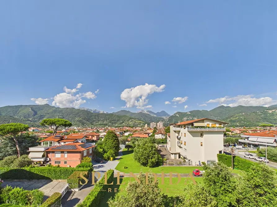 Immagine 24 di Appartamento in affitto  a Seravezza