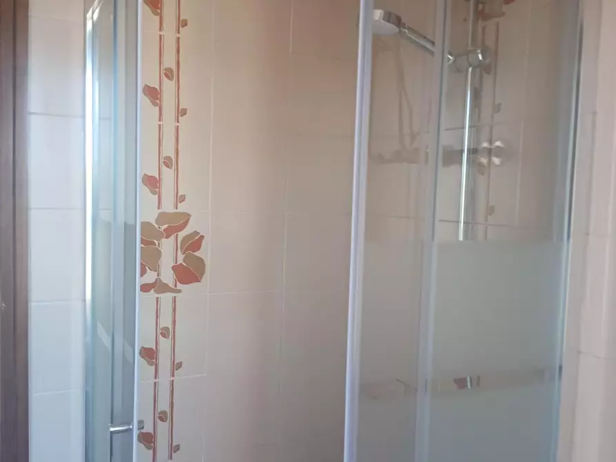 Immagine 14 di Appartamento in affitto  a Pisa