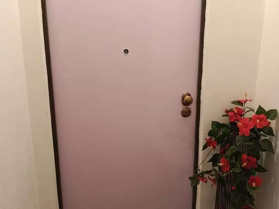 Immagine 11 di Appartamento in vendita  a Livorno