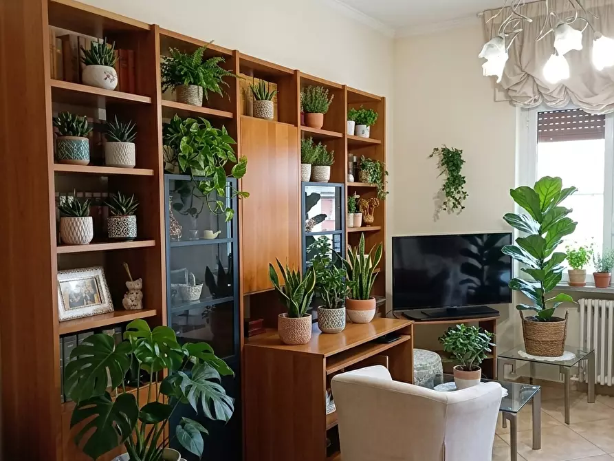 Immagine 5 di Appartamento in vendita  a Livorno