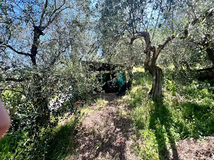 Immagine 7 di Deposito in vendita  a Lucca