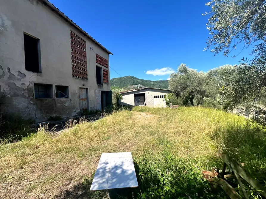 Immagine 5 di Deposito in vendita  a Lucca