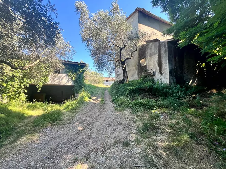 Immagine 9 di Deposito in vendita  a Lucca