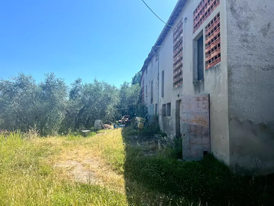 Immagine 8 di Deposito in vendita  a Lucca