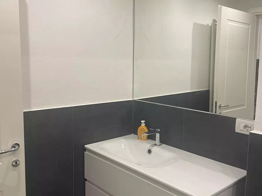 Immagine 15 di Appartamento in affitto  a Pisa