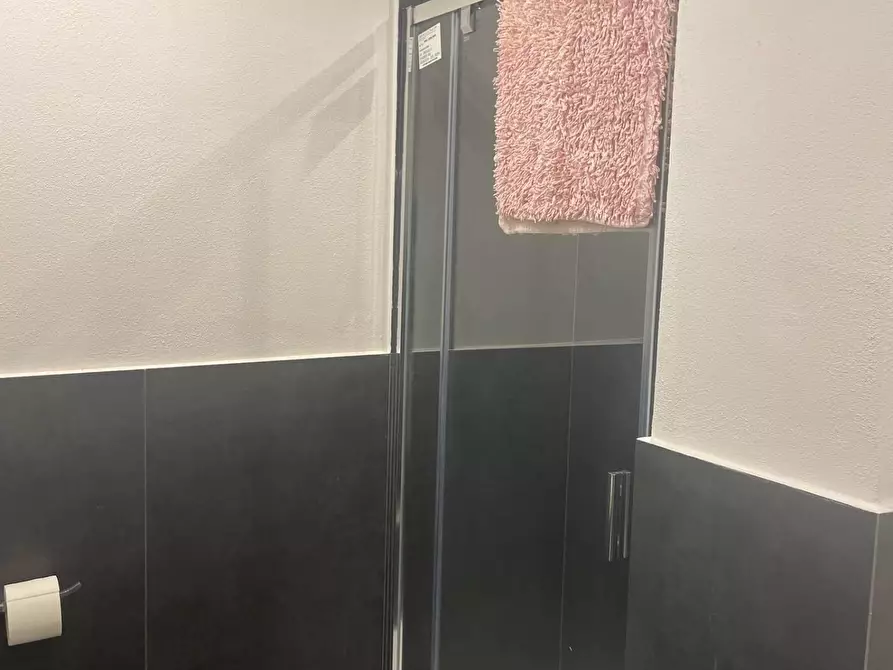 Immagine 11 di Appartamento in affitto  a Pisa