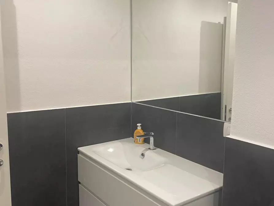 Immagine 12 di Appartamento in affitto  a Pisa