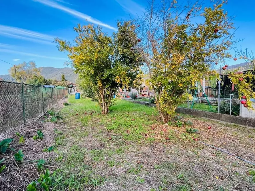 Immagine 1 di Terratetto in vendita  a San Giuliano Terme