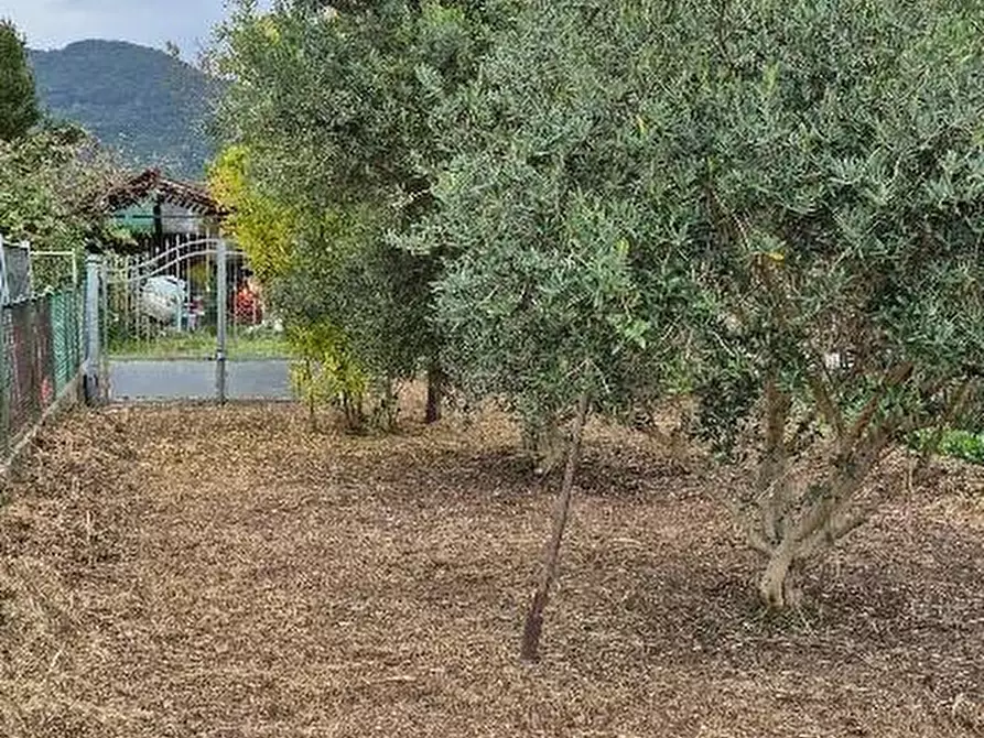 Immagine 3 di Terratetto in vendita  a San Giuliano Terme