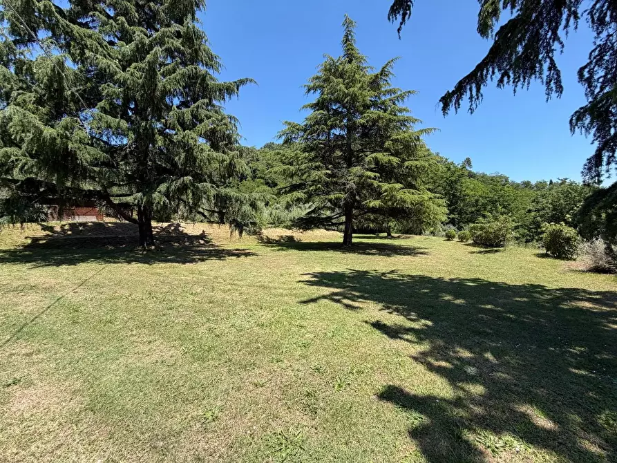 Immagine 5 di Villa in vendita  a Lucca