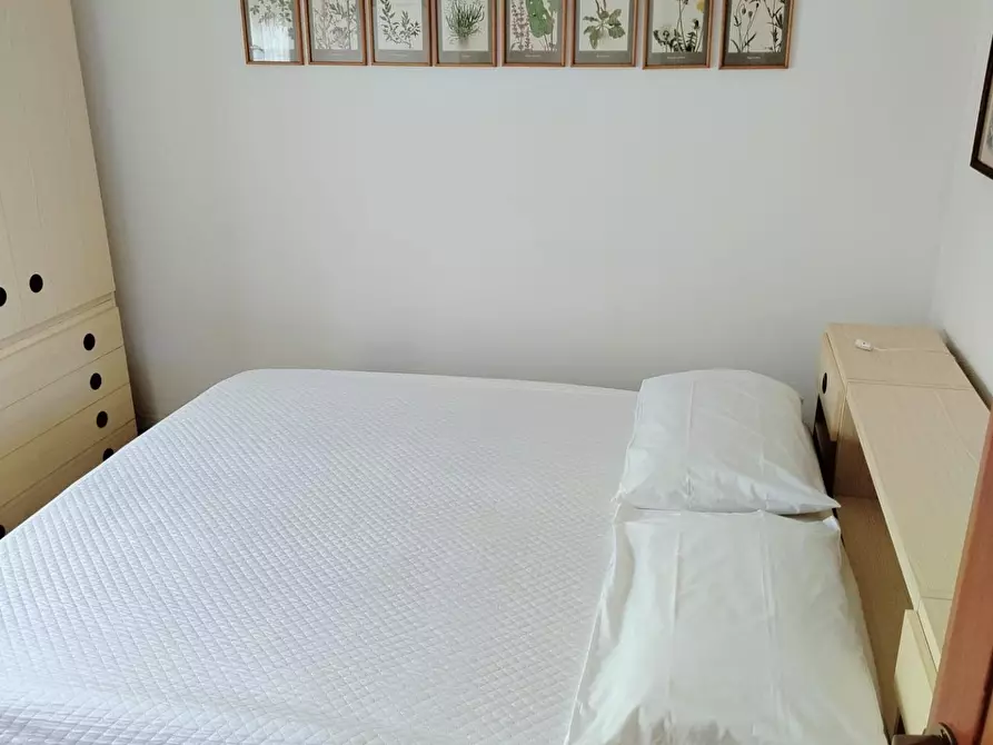 Immagine 16 di Appartamento in vendita  a Rosignano Marittimo