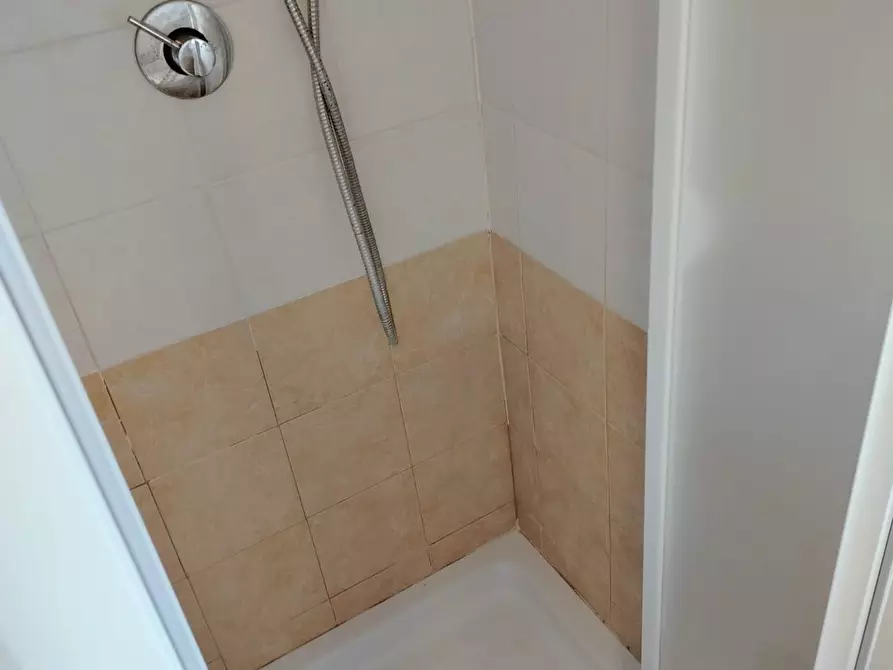 Immagine 19 di Appartamento in vendita  a Rosignano Marittimo