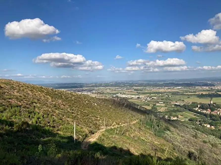 Immagine 24 di Rustico / casale in vendita  a Vicopisano