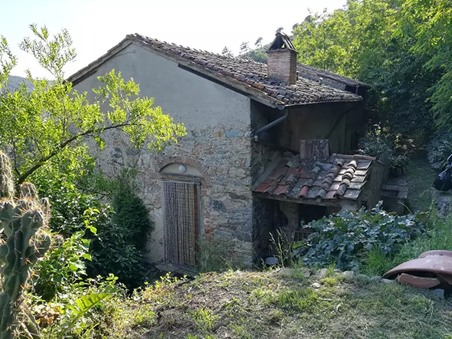 Immagine 14 di Rustico / casale in vendita  a Vicopisano