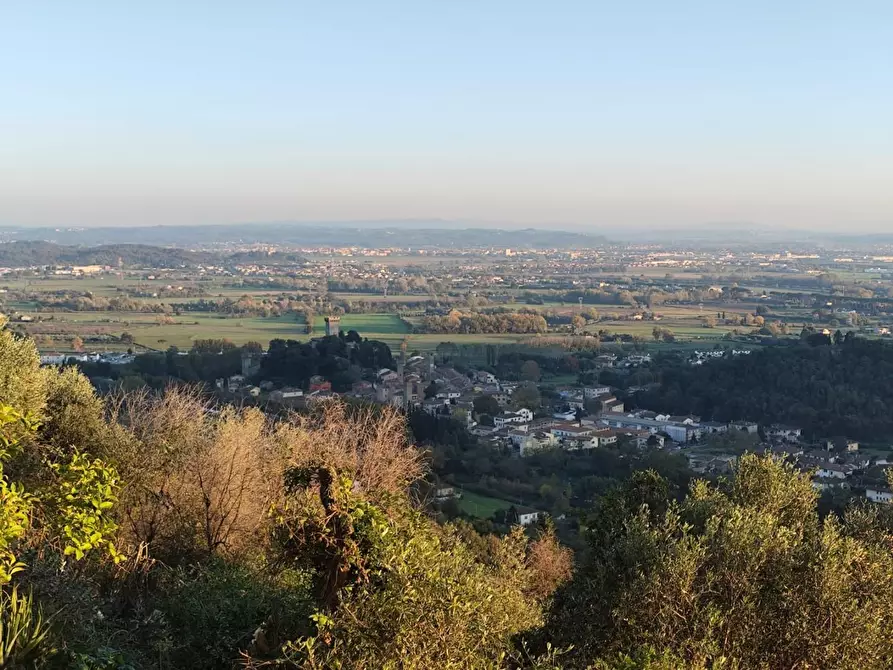 Immagine 25 di Rustico / casale in vendita  a Vicopisano