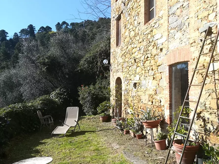 Immagine 15 di Rustico / casale in vendita  a Vicopisano