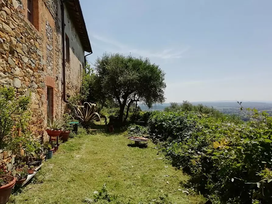 Immagine 2 di Rustico / casale in vendita  a Vicopisano