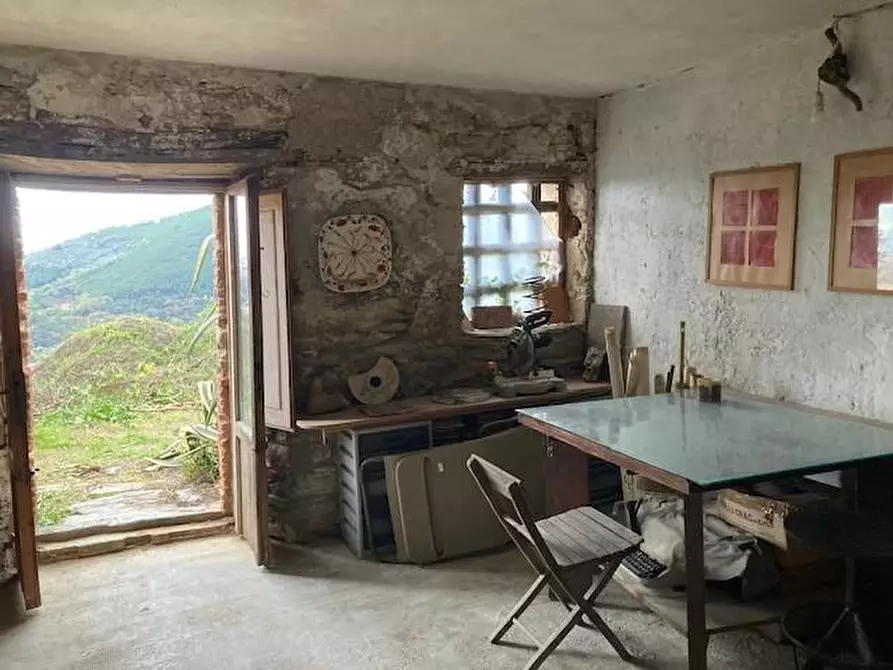 Immagine 21 di Rustico / casale in vendita  a Vicopisano