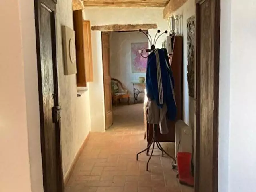 Immagine 11 di Rustico / casale in vendita  a Vicopisano