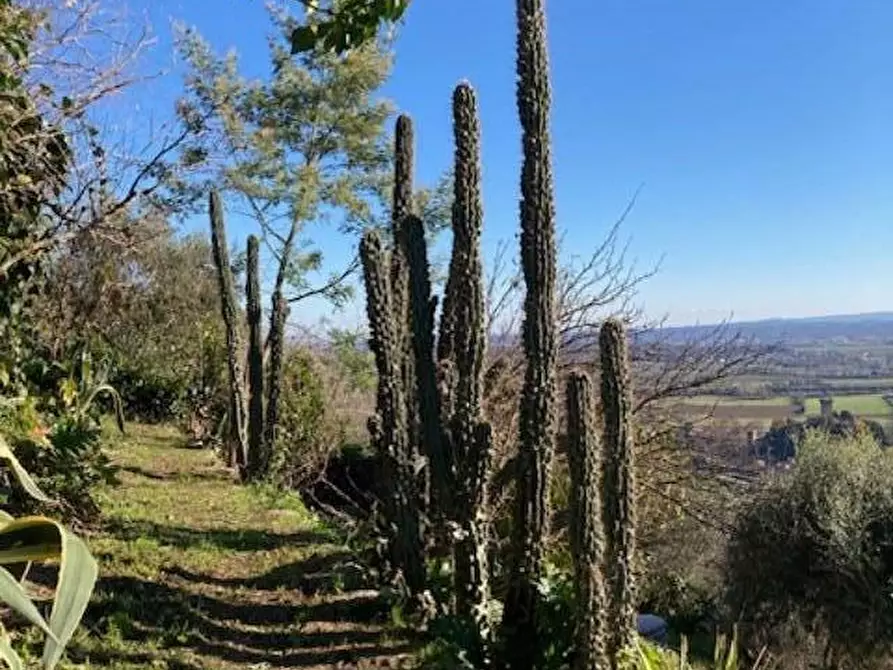 Immagine 18 di Rustico / casale in vendita  a Vicopisano