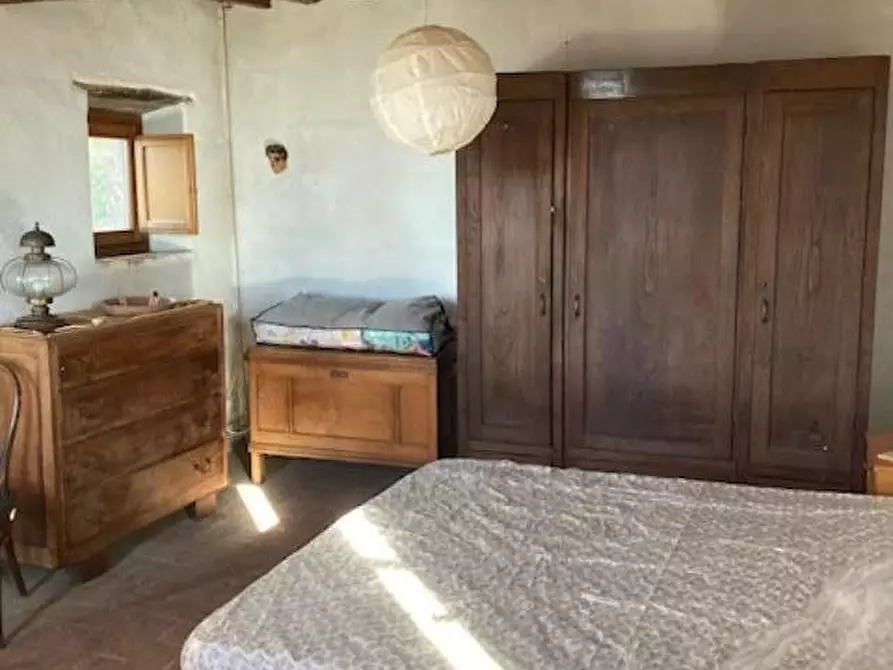 Immagine 7 di Rustico / casale in vendita  a Vicopisano