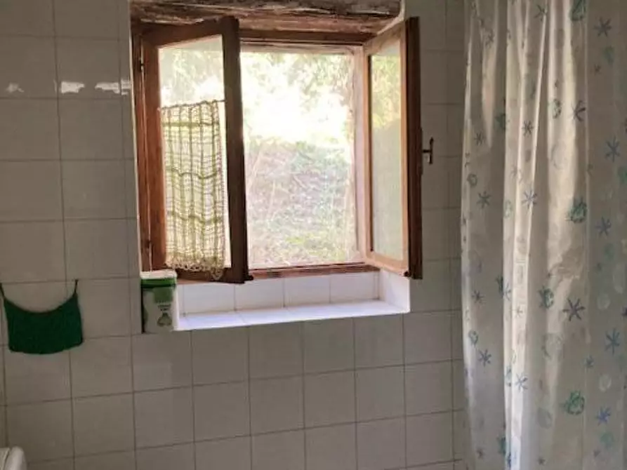 Immagine 13 di Rustico / casale in vendita  a Vicopisano