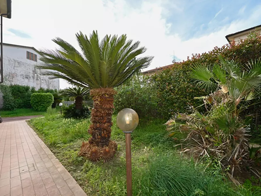 Immagine 9 di Villa in vendita  a San Giuliano Terme