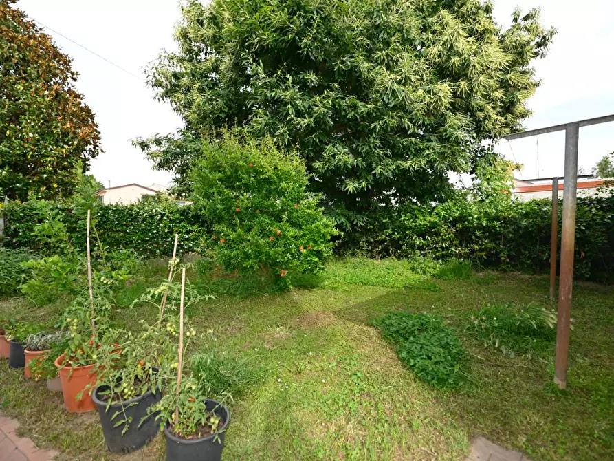 Immagine 10 di Villa in vendita  a San Giuliano Terme