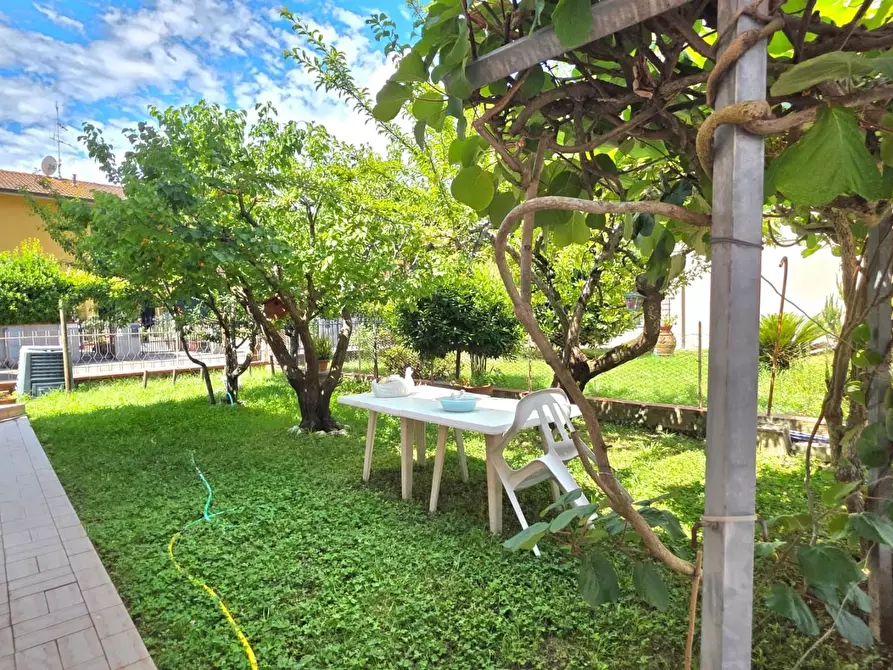 Immagine 6 di Casa indipendente in vendita  a Vecchiano