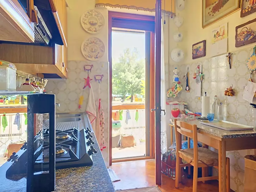 Immagine 28 di Casa indipendente in vendita  a Vecchiano