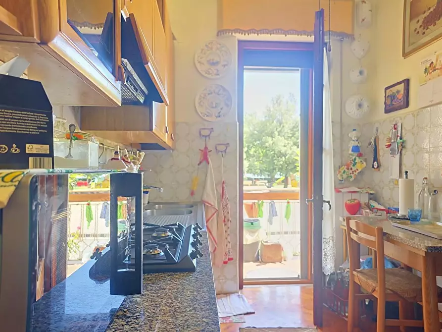Immagine 27 di Casa indipendente in vendita  a Vecchiano