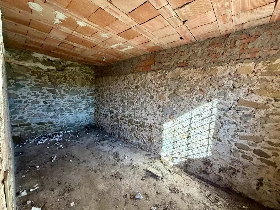 Immagine 12 di Casa colonica in vendita  a Vinci