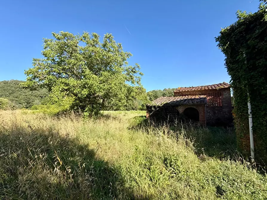 Immagine 9 di Casa colonica in vendita  a Vinci