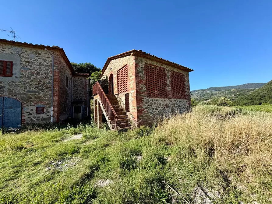 Immagine 6 di Casa colonica in vendita  a Vinci
