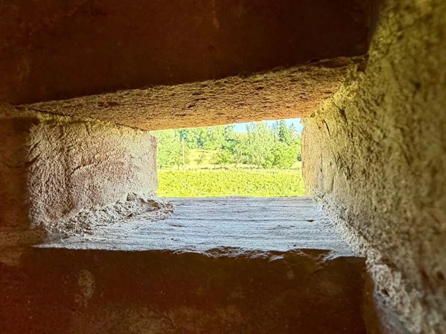 Immagine 19 di Casa colonica in vendita  a Vinci