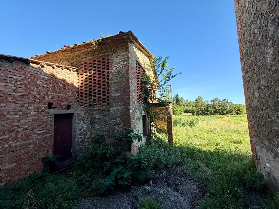 Immagine 8 di Casa colonica in vendita  a Vinci